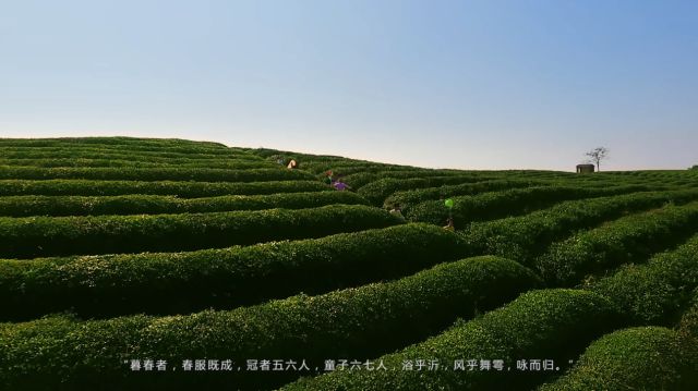 15246352726224950xwd.jpg 微信圖片_20180424104735.jpg