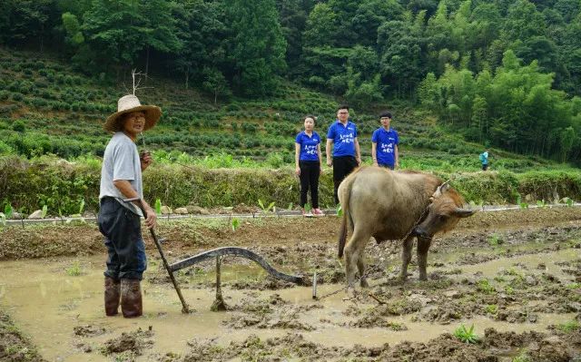 1528894096420189aYjq.jpg 藍田稻香隊訪談.jpg