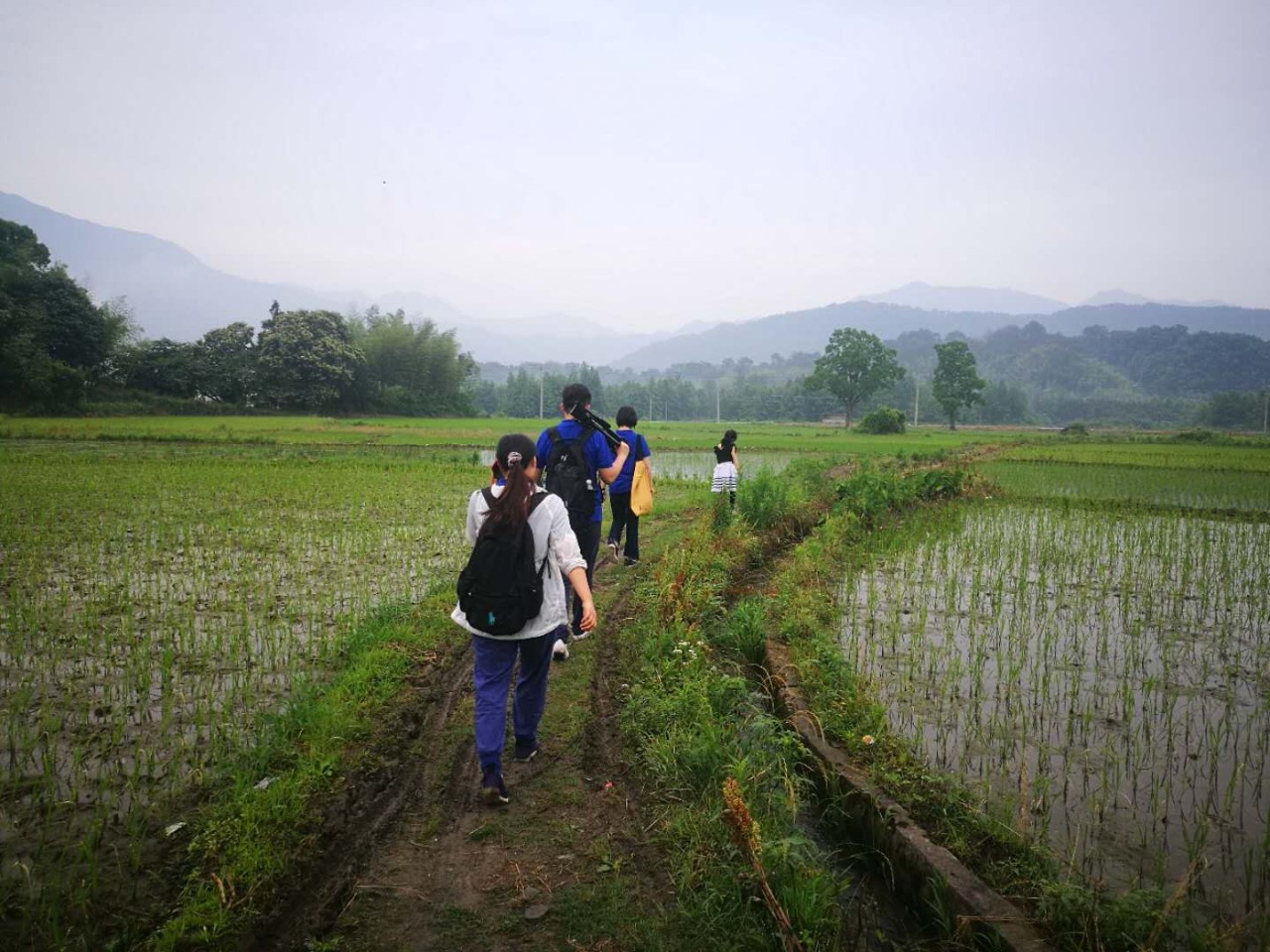 1528894427152190rlZe.jpg 背影.jpg